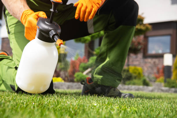 Best Mosquito Control Services  in Quincy, IL