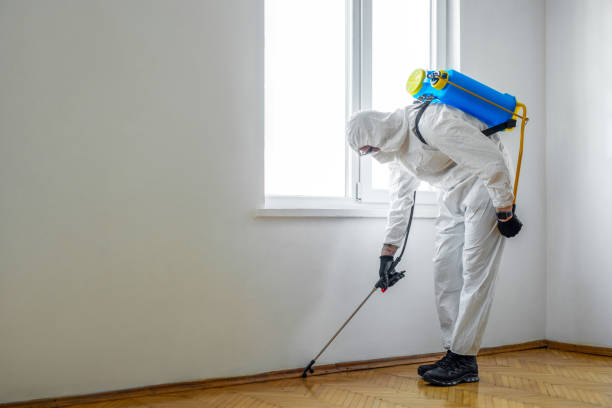  Quincy, IL Pest Control Pros