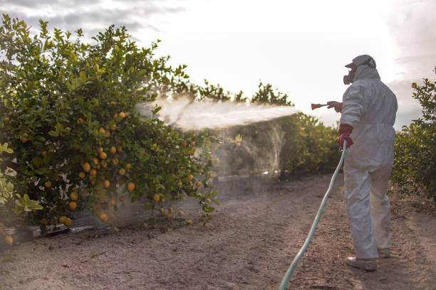 Best Residential Pest Control  in Quincy, IL