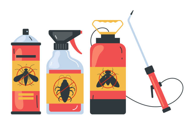 Best Spider Control Near Me  in Quincy, IL