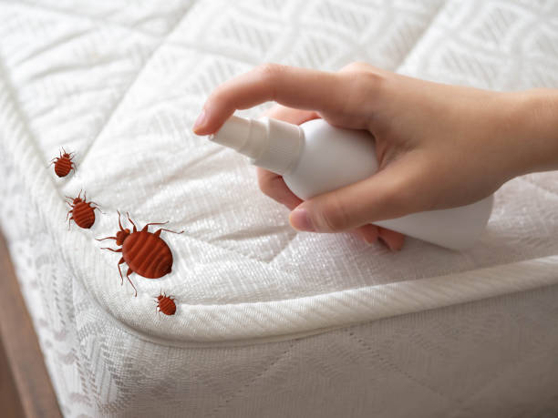 Professional Pest Control in Quincy, IL